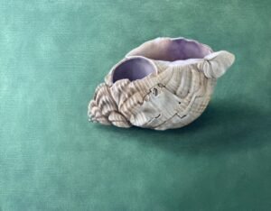 Neisha Allen ARUA Broken Shell, Oil on Board 16 x 20cm