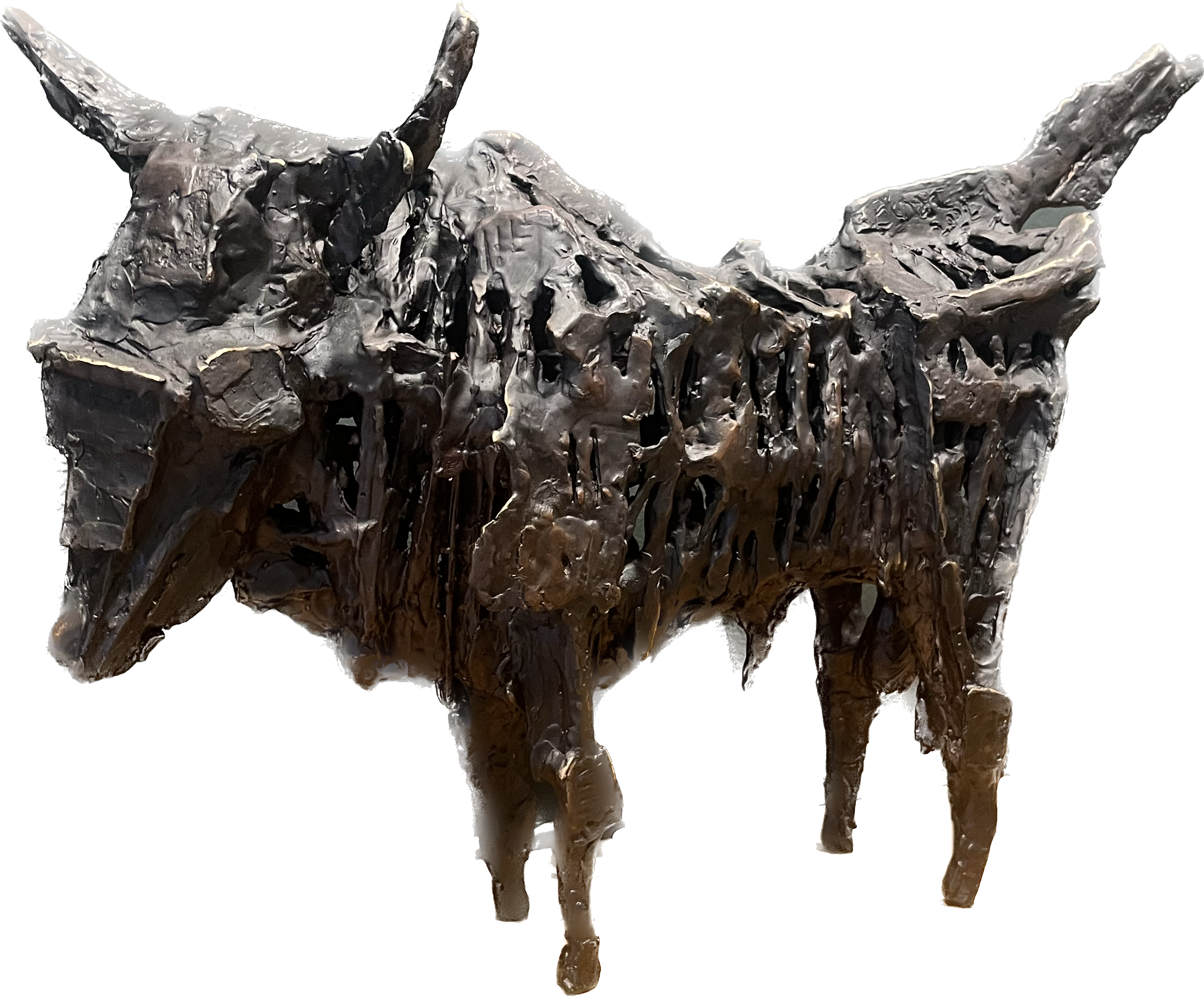 John Behan Bull of Ukraine GA