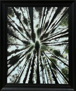 Vira Sychynska Look Up 40.6 x 50.8cm