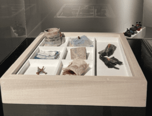 25. Gathering, Colleen Prendiville