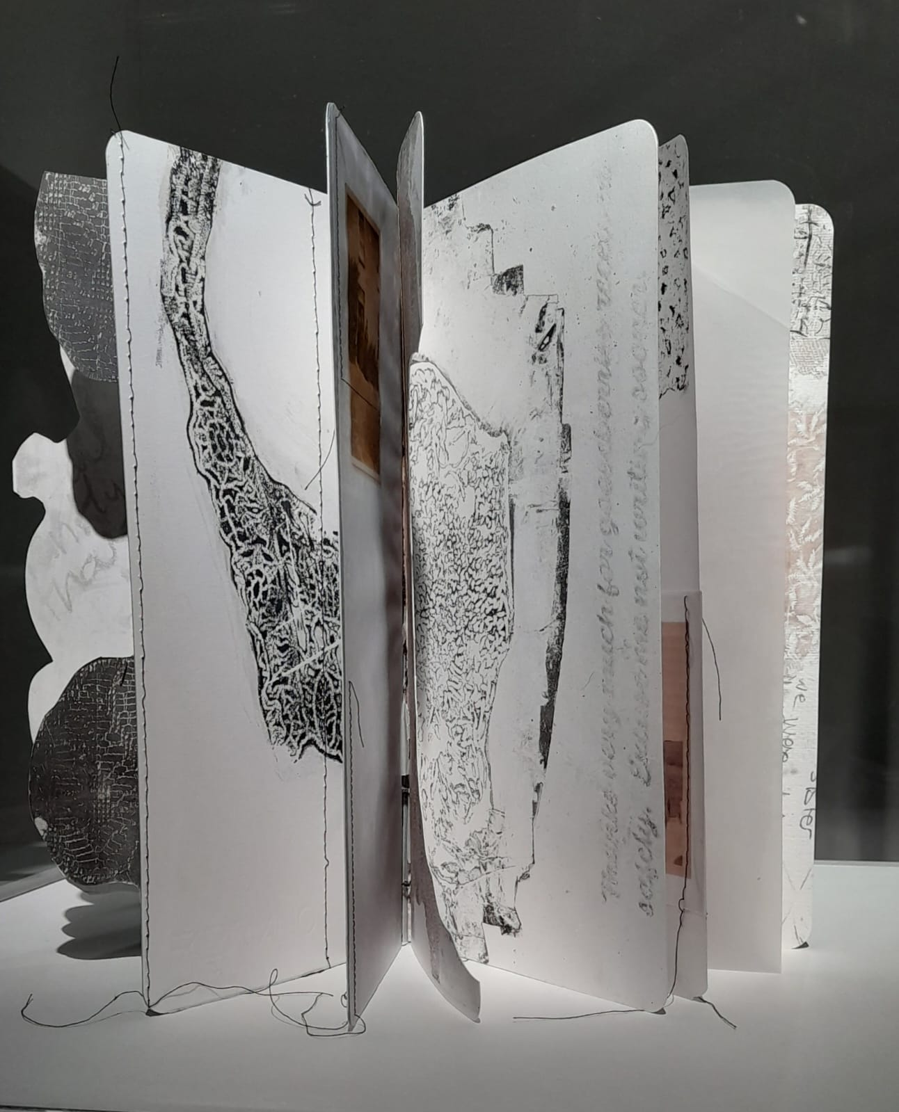 39. Testament III (artist book), Sally Hewetson