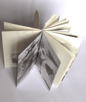 39. Testament (artist book), Sally Hewetson