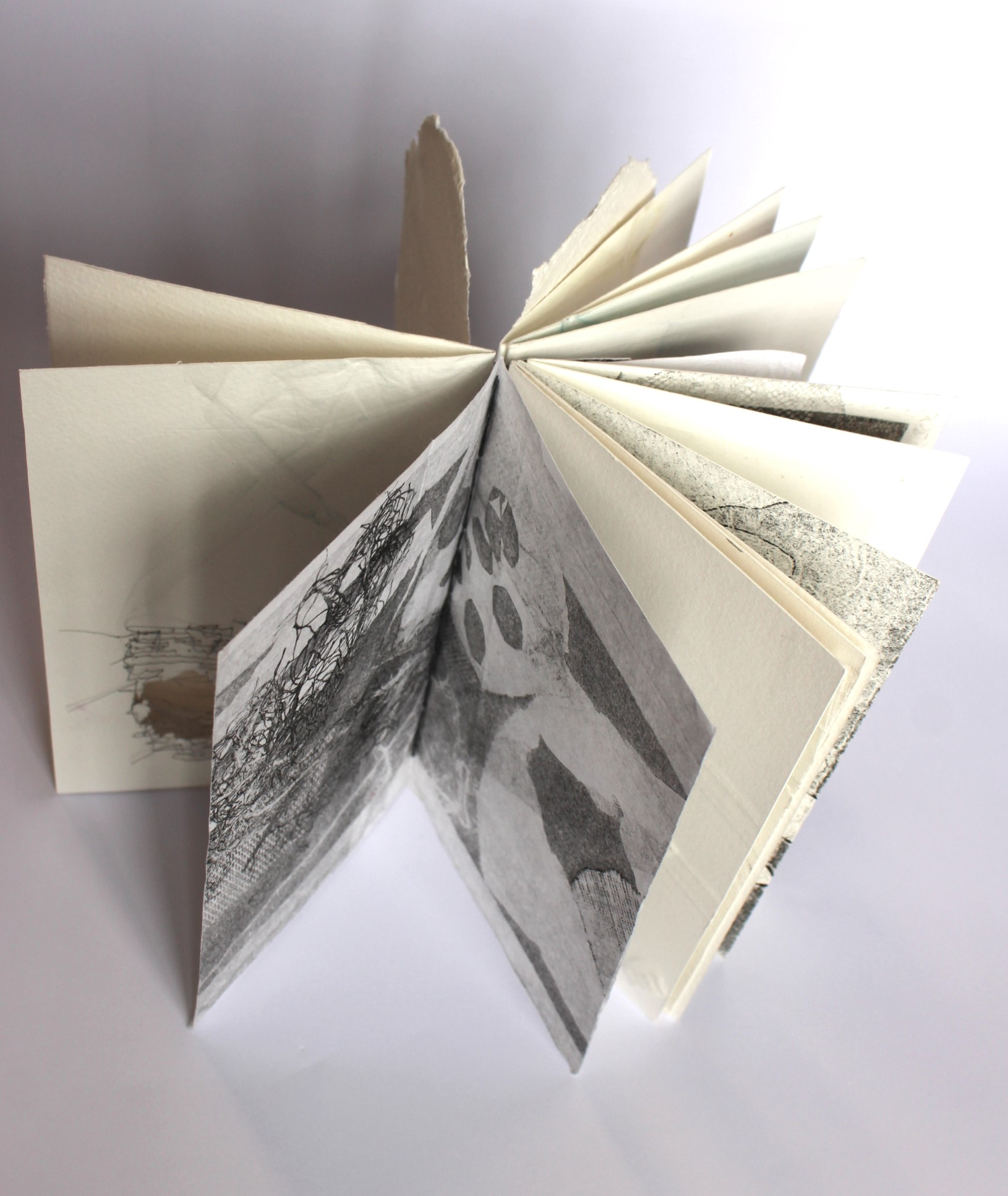39. Testament (artist book), Sally Hewetson