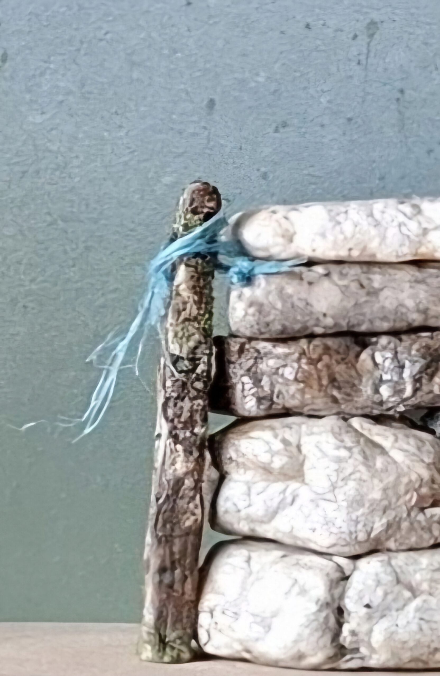 40. Stone by Stone, Fidelma Barton