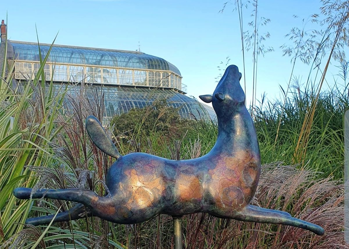 Stephanie Hess Unbridled Joy 2 of 3