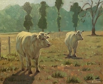Alain Costa Cows in Normandy