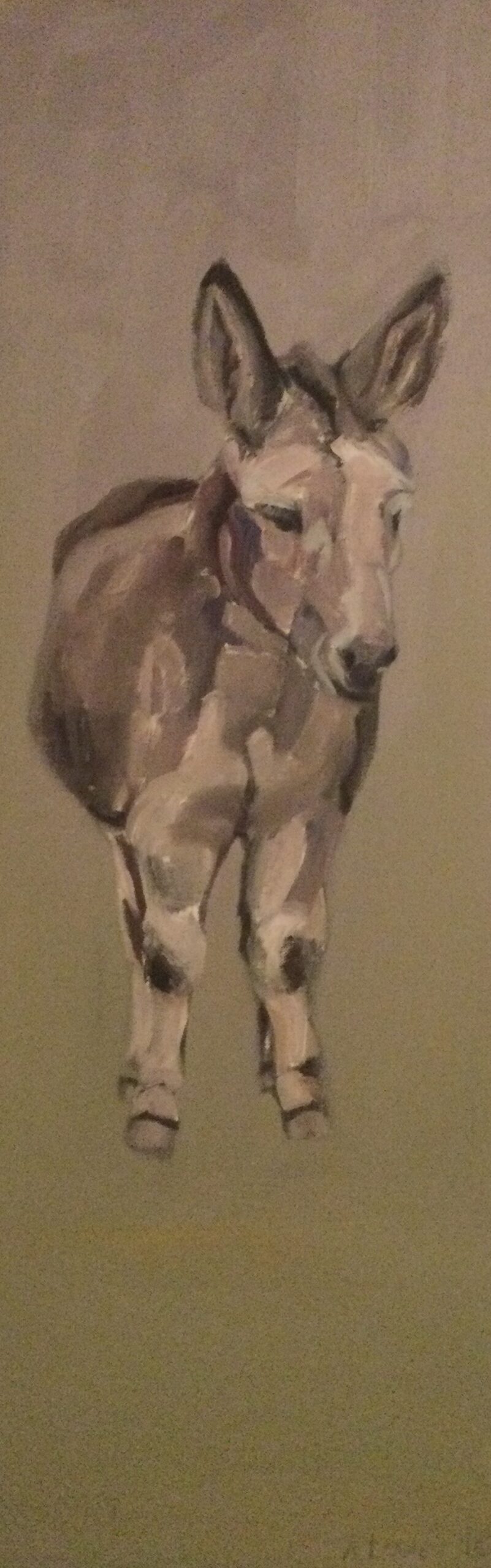 Ann Lowan  An t Asal Uasal