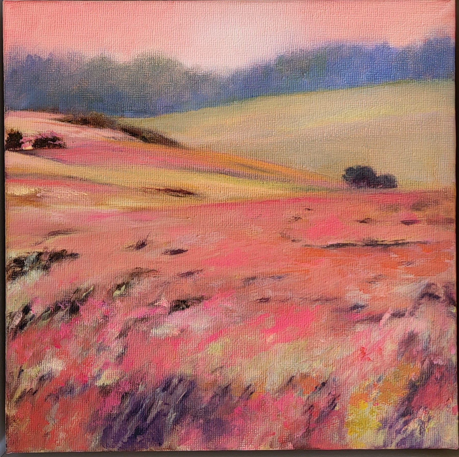 Anne Griffith Roaring Summer