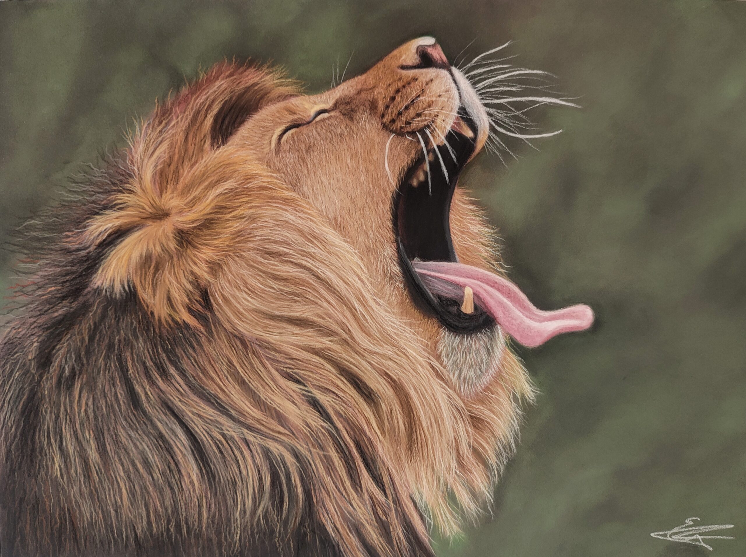 Emma Philips Lazy King