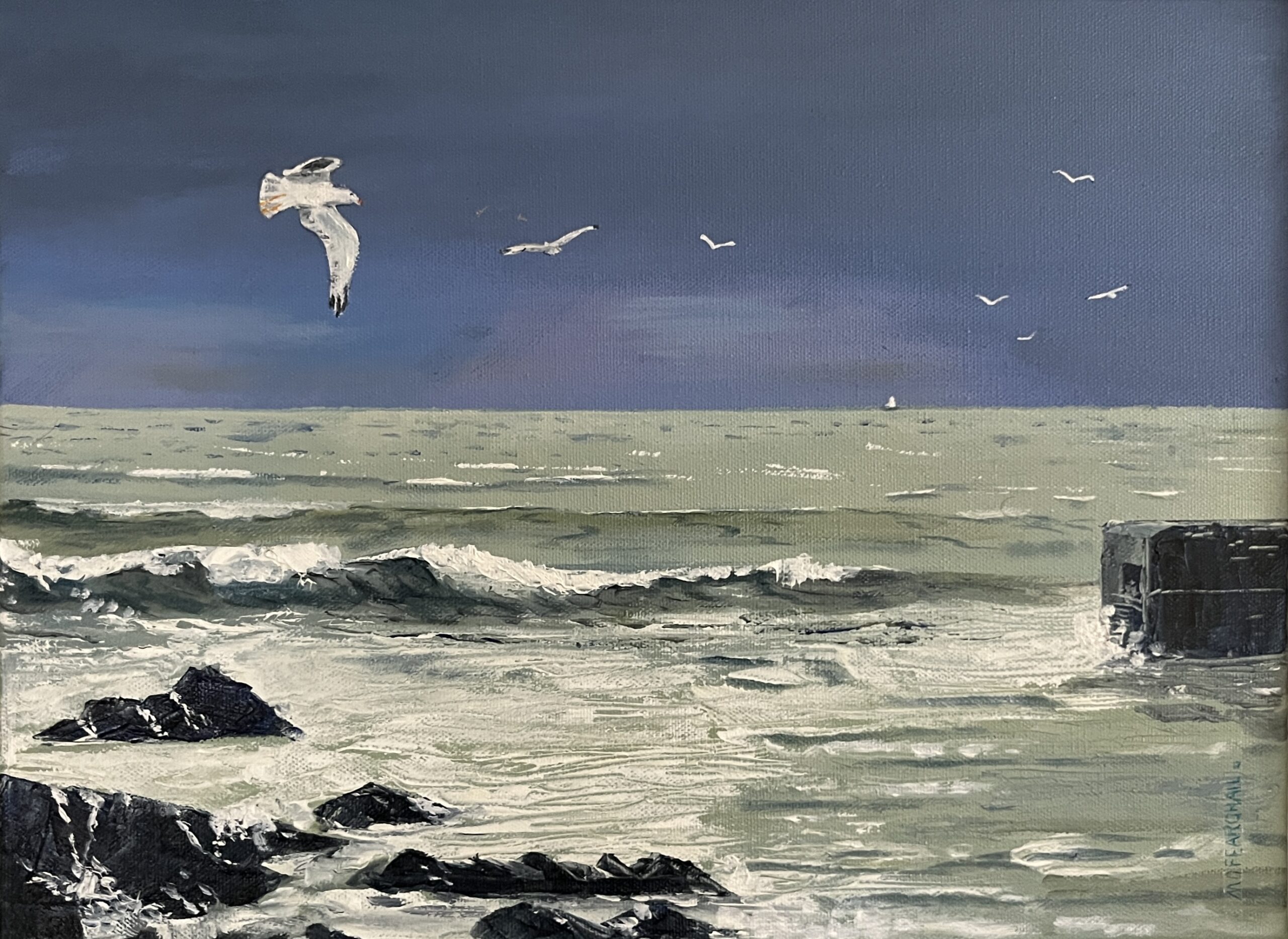 Micheal O Fearghail Seagulls at St Helens