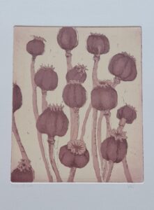 Sally Hewetson Poppies