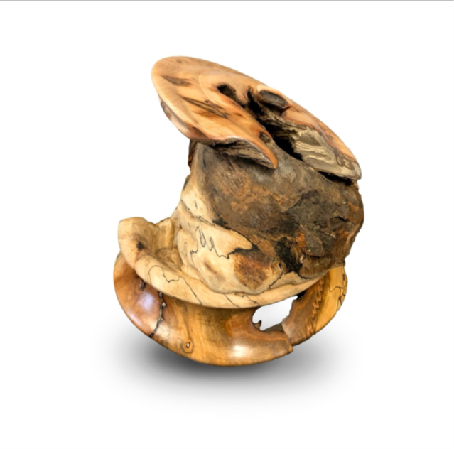 Toshie Oue Power of Nature