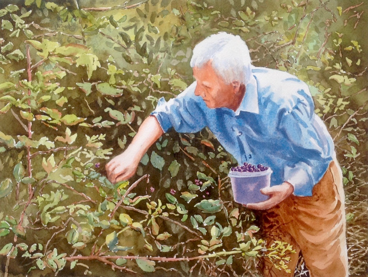 Billy Moore Blackberry Picking