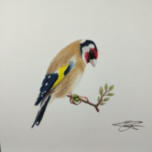 Emma Phillips fanacht