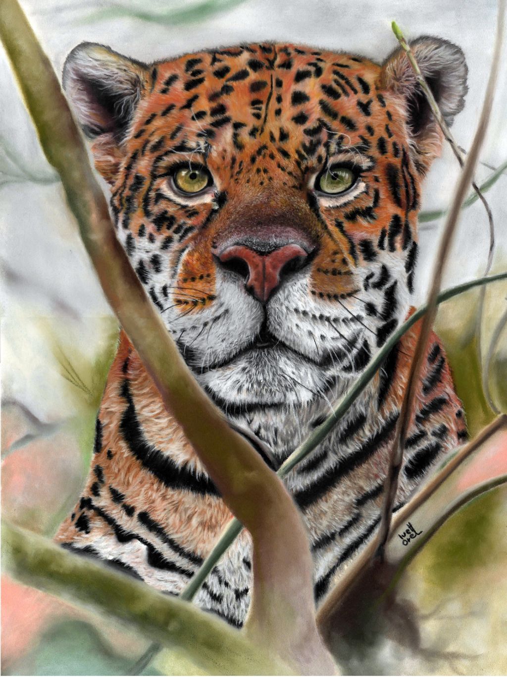 Ivet Orel eyes of the wild