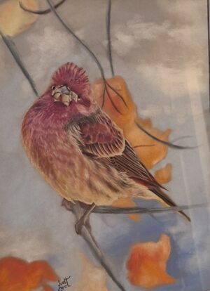 Ivet Orel rest in color