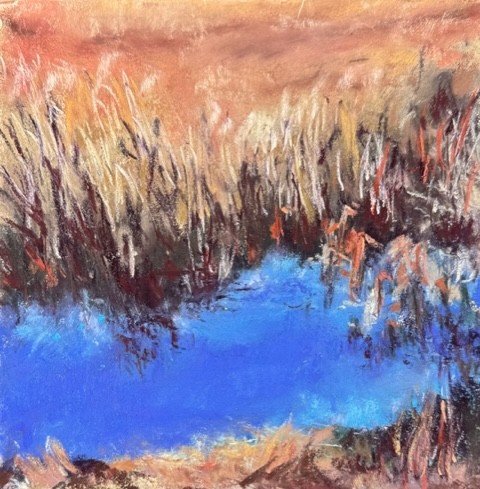 Bríd Lyons Bog Lake 1