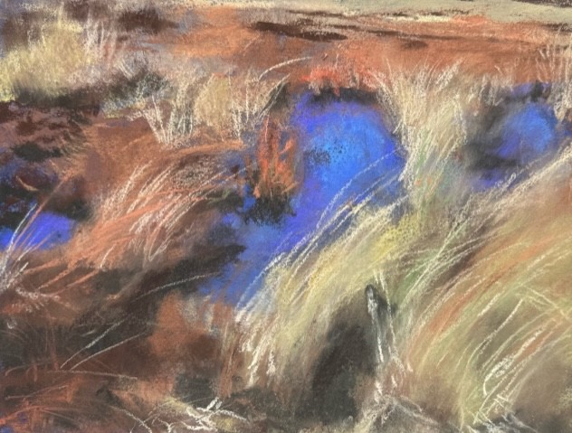 Bríd Lyons Bog Lake 4