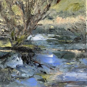Marie Murray Floodwater Lagan