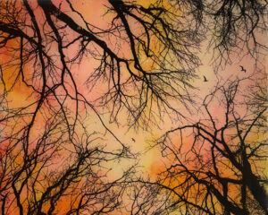Norma Slack Sky of Dreams 20x25cm