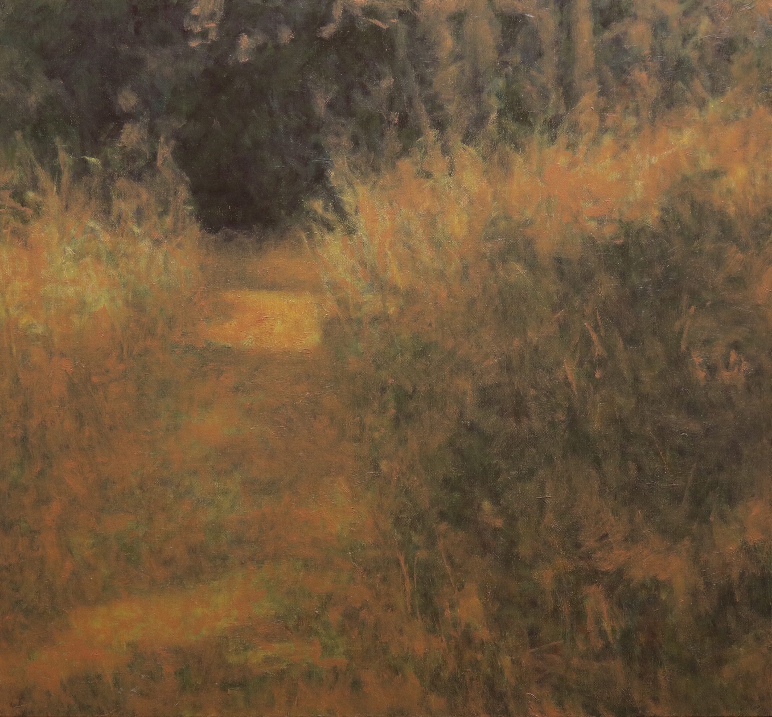 KEITH WILSON 'FROM NOW ON, 1', Oil on linen, 660mm x 715mm, 2025
