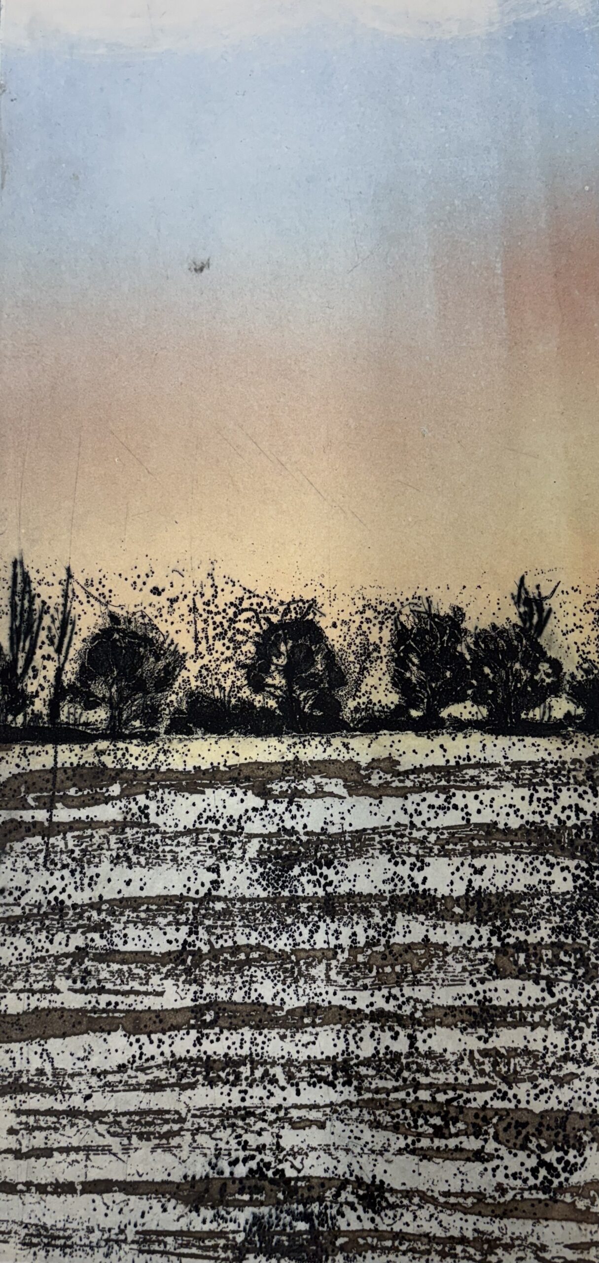 42. Linda Uhlemann dawn field