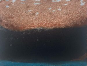 Gwen Limen red study Carborundum 32x45cms