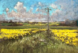 Aidan Butler Rapeseed Fields , Fingal 20x30cm