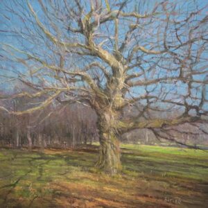 Aidan Butler Wintering Pastel 30x30cm