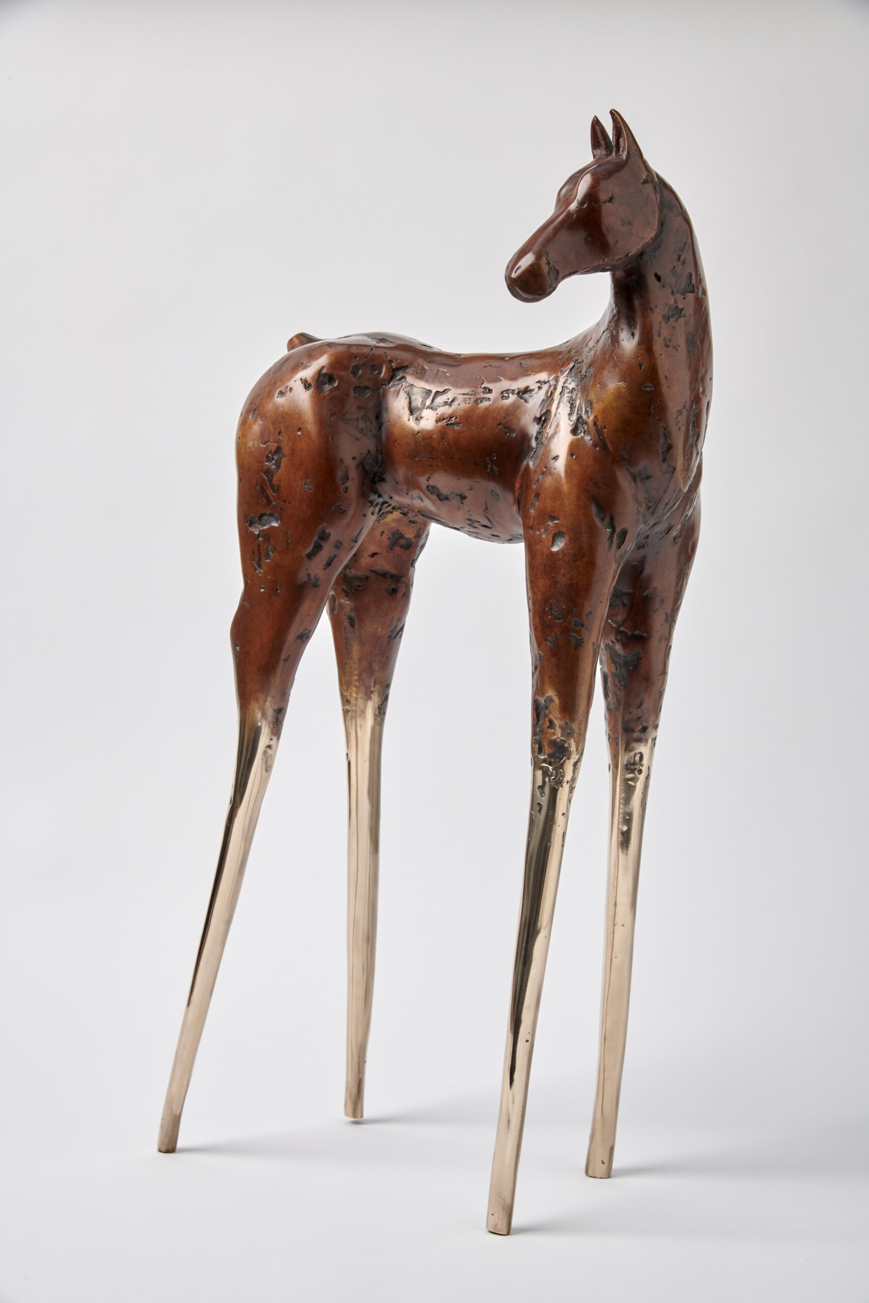 Anna Campbell Watchful Horse 5 of 7
