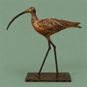 Cheryl Brown Curlew 2