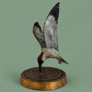 Colm Brennan Diving Tern 2