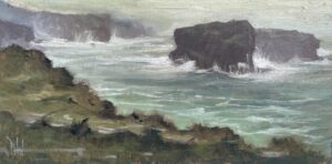 Dave West Wild Atlantic