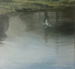 James English Gull Leaving Oil 40 x 40cm