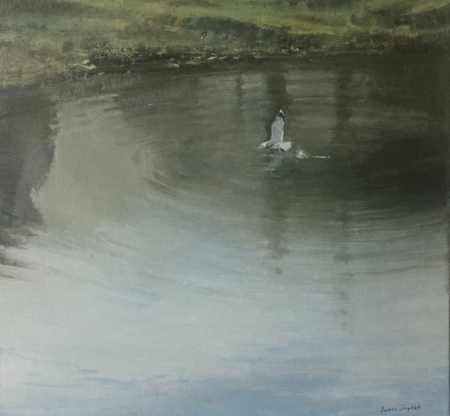 James English Gull Leaving Oil 40 x 40cm